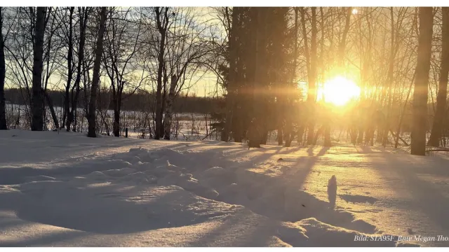 Licht im verschneiten Wald (Foto: Alamy) Licht im verschneiten Wald (Foto: Alamy)